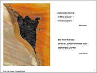 Hailu-Wohnzimmerlesung