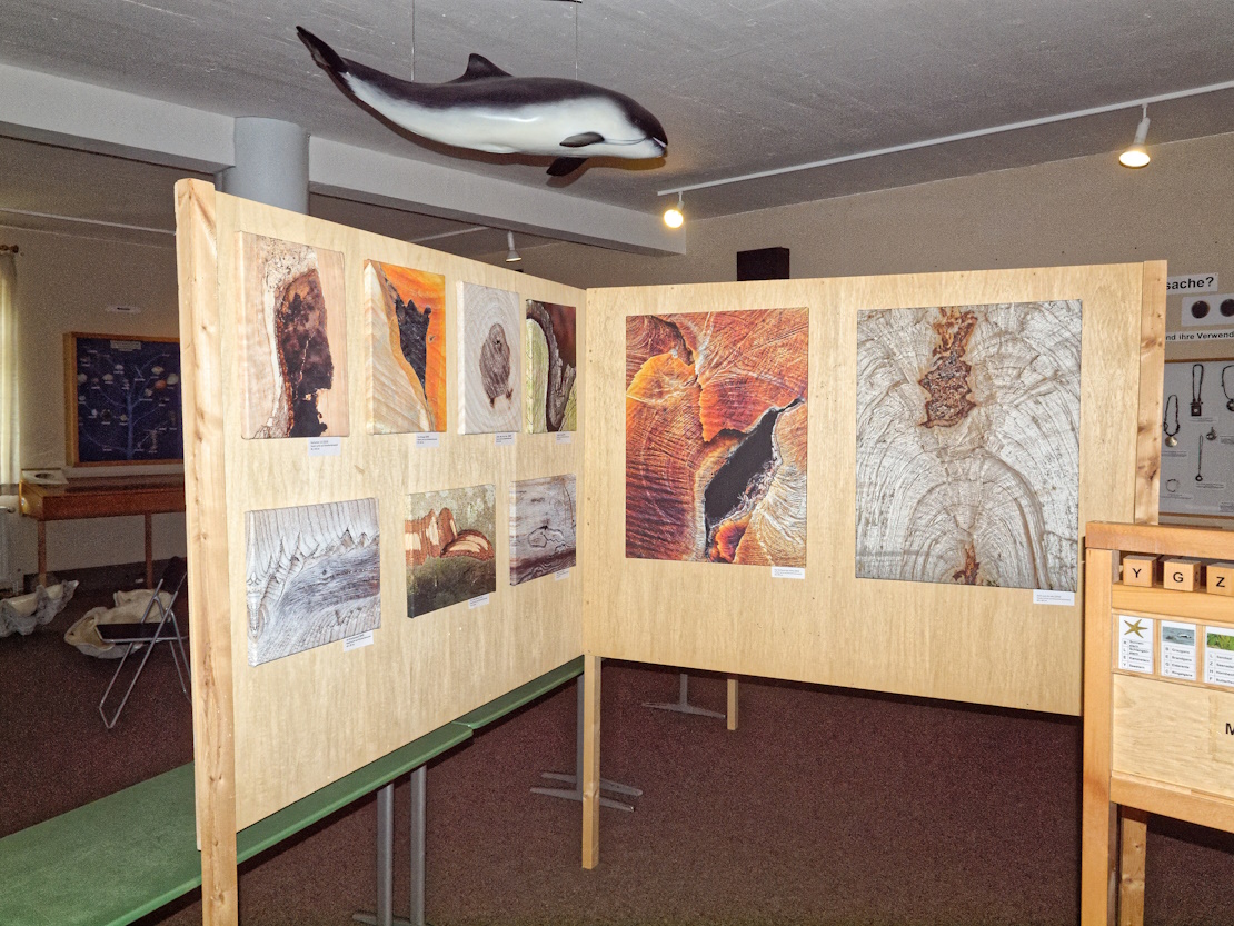 Ausstellung Haus der Natur - Cismar 2024